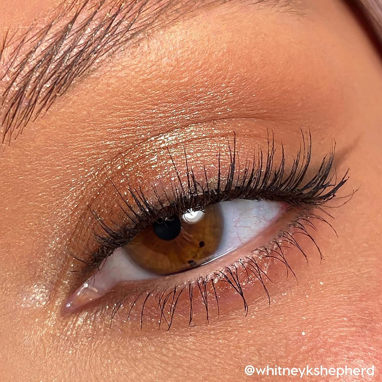 image:imageColourpop Pink Dreams Eyeshadow Palette Neutral amp Pink Eyeshadow Palette with Matte amp Glitter Finishes High Pigment Cool Toned Eye Makeup with Longwear Formula 03 ozGoing Coconuts